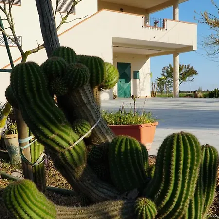 Sweet Daire Metaponto